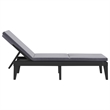 vidaXL Polypropylene Standard Sun Lounger in Anthracite