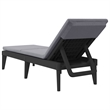 vidaXL Polypropylene Standard Sun Lounger in Anthracite