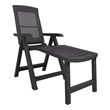 vidaXL Plastic Standard Foldable Sun Lounger in Anthracite