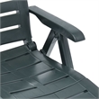 vidaXL Plastic Sunlounger Medium Foldable in Green
