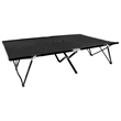 vidaXL Steel Frame Sun Lounger Double Foldable in Black