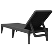 vidaXL Polypropylene Standard Sun Lounger in Anthracite