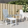 vidaXL Plastic Standard Foldable Sun Lounger in White