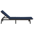 vidaXL PE Rattan Steel Standard Sun Lounger in Gray and Navy Blue