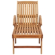 vidaXL Teak Wood Sun Lounger and Table