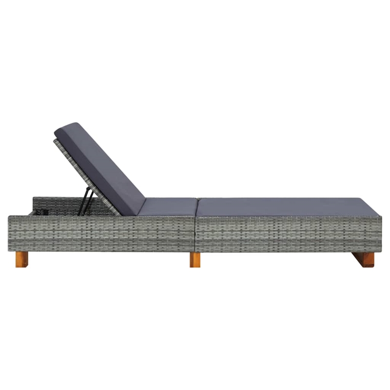 vidaXL Sun Lounger in Dark Gray/Gray