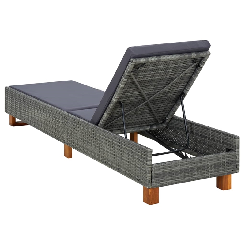 vidaXL Sun Lounger in Dark Gray/Gray