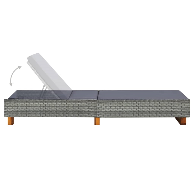 vidaXL Sun Lounger in Dark Gray/Gray