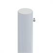 vidaXL Large Side Awning with PU Coating in Cream