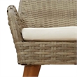 vidaXL Garden Chair 2 pcs Beige Poly Rattan