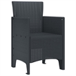 vidaXL Garden Chair 2 pcs Anthracite Polypropylene