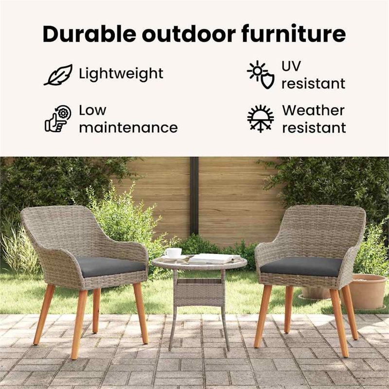 vidaXL Garden Chair 2 pcs Black Poly Rattan