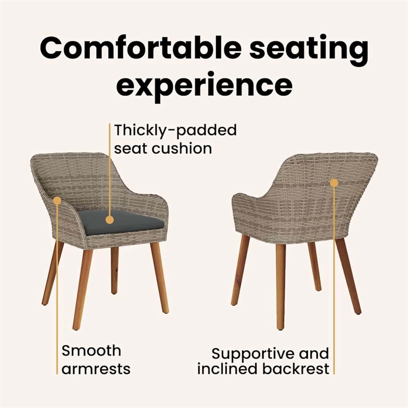 vidaXL Garden Chair 2 pcs Black Poly Rattan