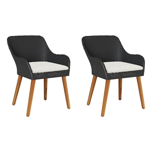 vidaXL Garden Chair 2 pcs Black Poly Rattan
