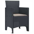 vidaXL Garden Chair 2 pcs Anthracite Polypropylene