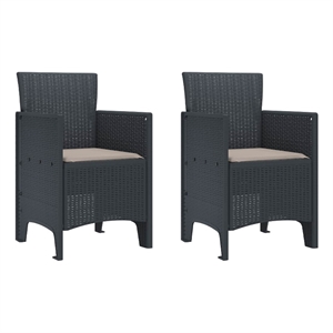 vidaXL Garden Chair 2 pcs Anthracite Polypropylene