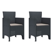 vidaXL Garden Chair 2 pcs Anthracite Polypropylene