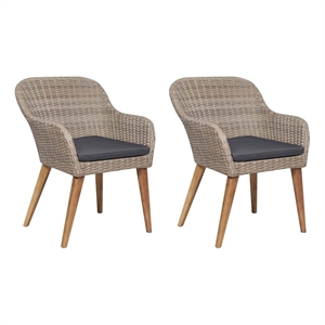 vidaXL Patio Chairs with Cushions 2 pcs Poly Rattan Brown