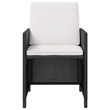 vidaXL 11 Piece Patio Dining Set Poly Rattan and Acacia Wood Black