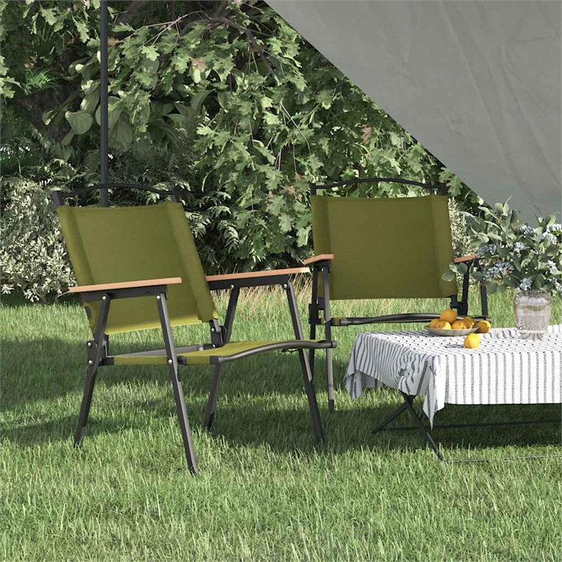 vidaXL Camping Chairs 2 pcs Green 21.3