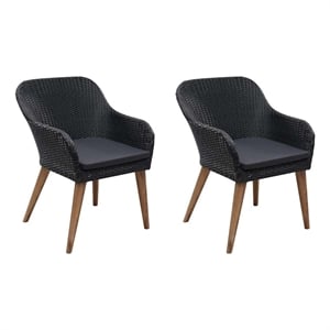 vidaXL Patio Chairs with Cushions 2 pcs Poly Rattan Black