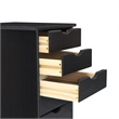 Jela Solid Wood 6 Drawer Roll Cart in Black