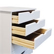 Jela Solid Wood 6 Drawer Wide Roll Cart in White