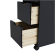 Jela Solid Wood 6+2 Drawer Roll Cart in Black
