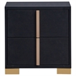 Dex 22 Inch Nightstand- 2 Drawers with Long Vertical Gold Handles- Black