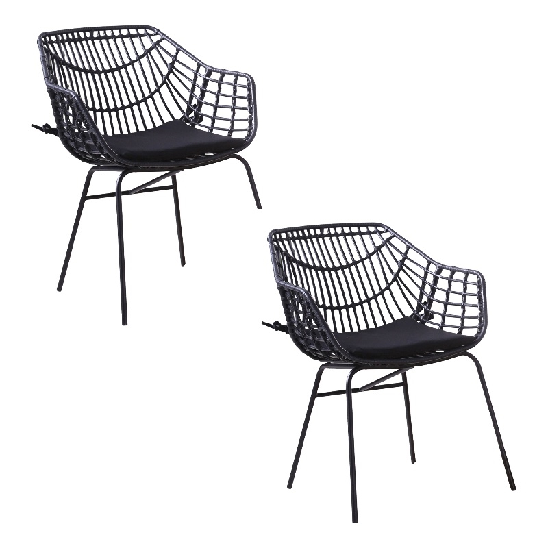 Niya Patio Chair Set of 2- Polyester- Black Steel- Outdoor Rattan Wicker