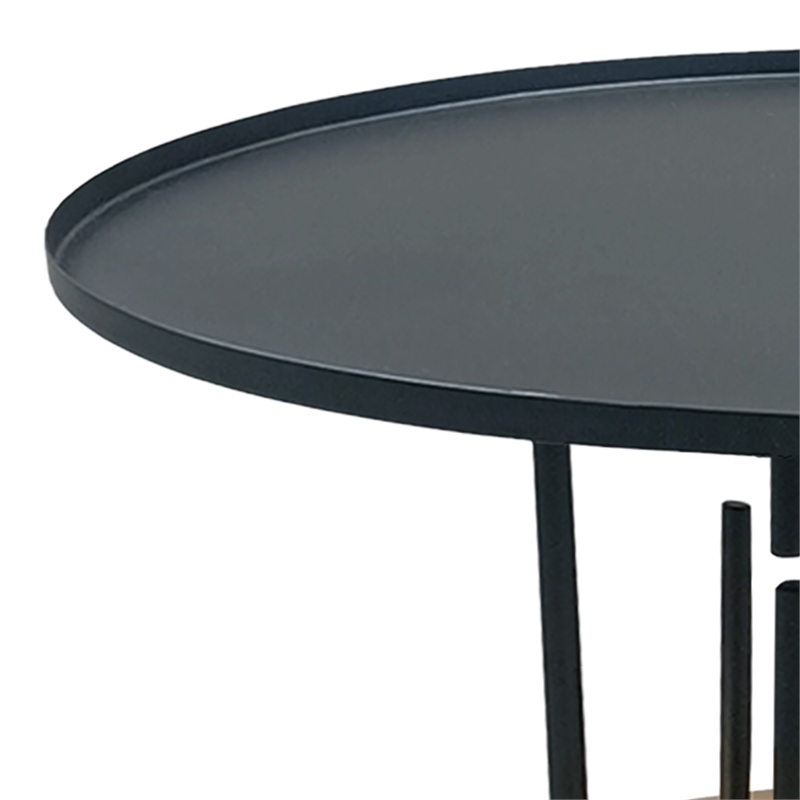 Neci 31 Inch Coffee Table- Round Matte Black Tray Top
