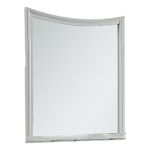 Roly Dresser Mirror-37 Inch Gray Rectangular Solid Wood Molded Frame