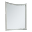 Roly Dresser Mirror-37 Inch Gray Rectangular Solid Wood Molded Frame