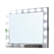 Fery Dresser Mirror w Light Bulbs-USB and Power-Glam Silver 44 Inch