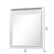 Broy 40 Inch Dresser Mirror-Champagne Gray Wood-Rounded Edges
