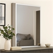 Suni Dresser Mirror-40 Inch-Sleek Light Taupe Wood-Frameless Design