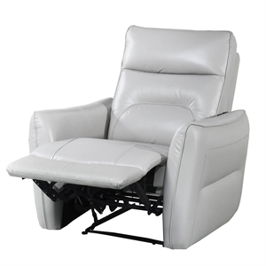 Teren Power Recliner Chair-Rich Taupe Leather Match-Foam