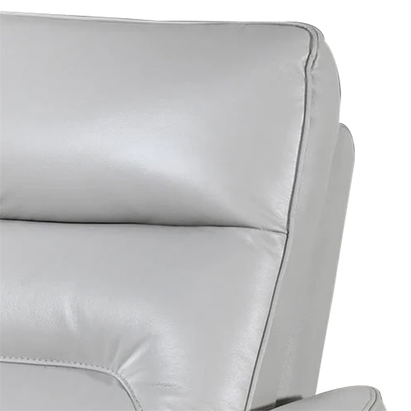 Teren Power Recliner Chair-Rich Taupe Leather Match-Foam