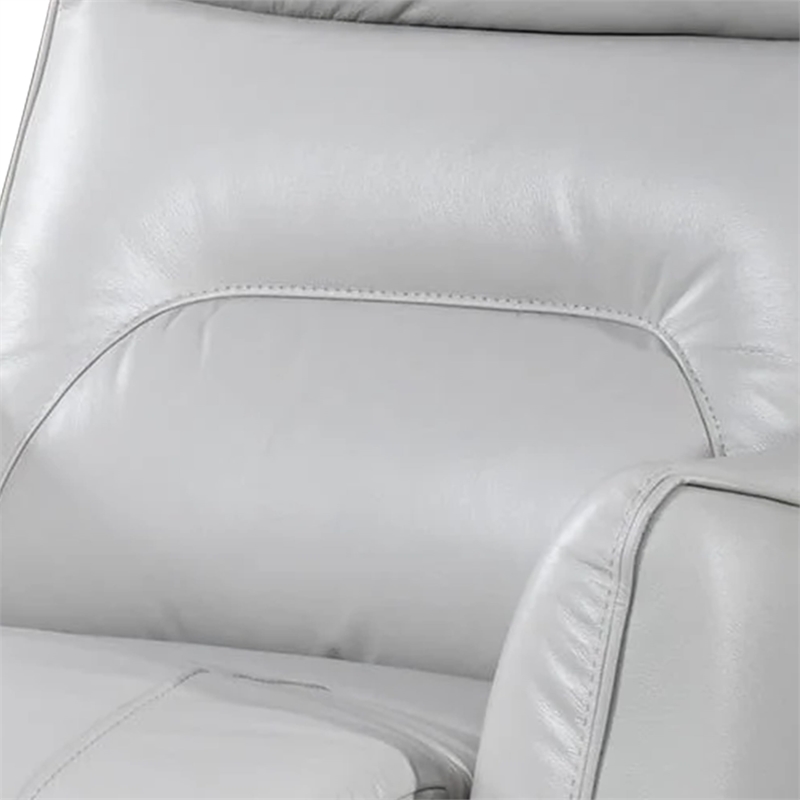 Teren Power Recliner Chair-Rich Taupe Leather Match-Foam