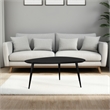 Deso Coffee Table-39 Inch Triangular Black Mango Wood-Metal Legs