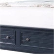 Zeny Queen Bed with Storage Drawers-Panel Headboard-Blue Wood