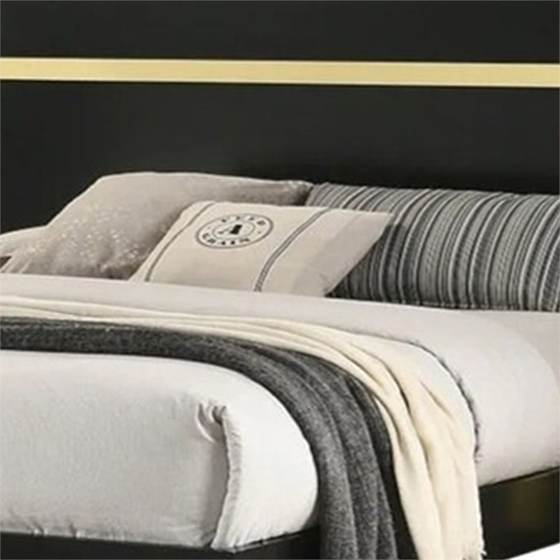 Yoki King Size Bed w Underbed LED-Acrylic Gold Trim-Black Frame