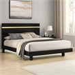 Yoki King Size Bed w Underbed LED-Acrylic Gold Trim-Black Frame