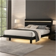 Yoki King Size Bed w Underbed LED-Acrylic Gold Trim-Black Frame
