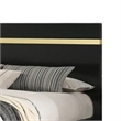 Yoki King Size Bed w Underbed LED-Acrylic Gold Trim-Black Frame