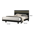 Yoki Full Size Bed w Underbed LED-Acrylic Gold Trim-Black Frame