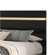 Yoki Full Size Bed w Underbed LED-Acrylic Gold Trim-Black Frame