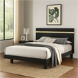 Yoki Queen Size Bed w Underbed LED-Acrylic Gold Trim-Black Frame