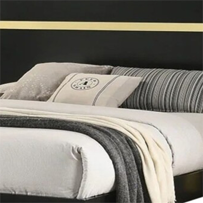 Yoki Queen Size Bed w Underbed LED-Acrylic Gold Trim-Black Frame