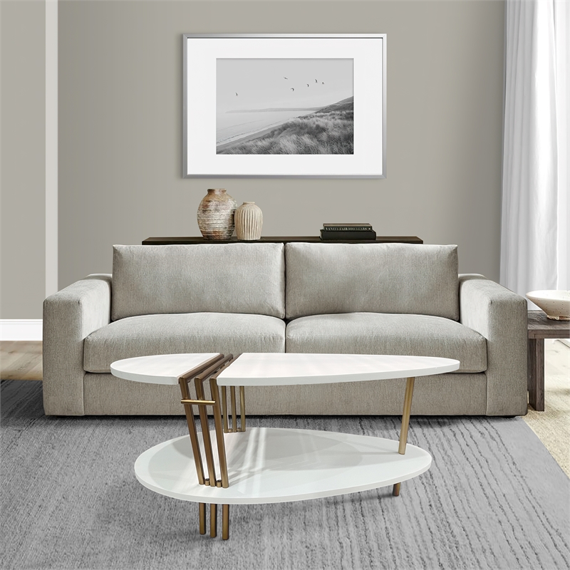 36 Inch Modern Coffee Table-White Mango Wood With Antique Brass